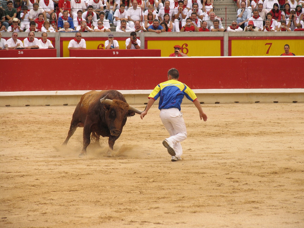 Seguros para eventos taurinos, seguro para recortes, seguro para corridas de toros, seguro para conciertos, seguro para verbenas, seguro para carreras populares, seguro para procesiones entre otros.